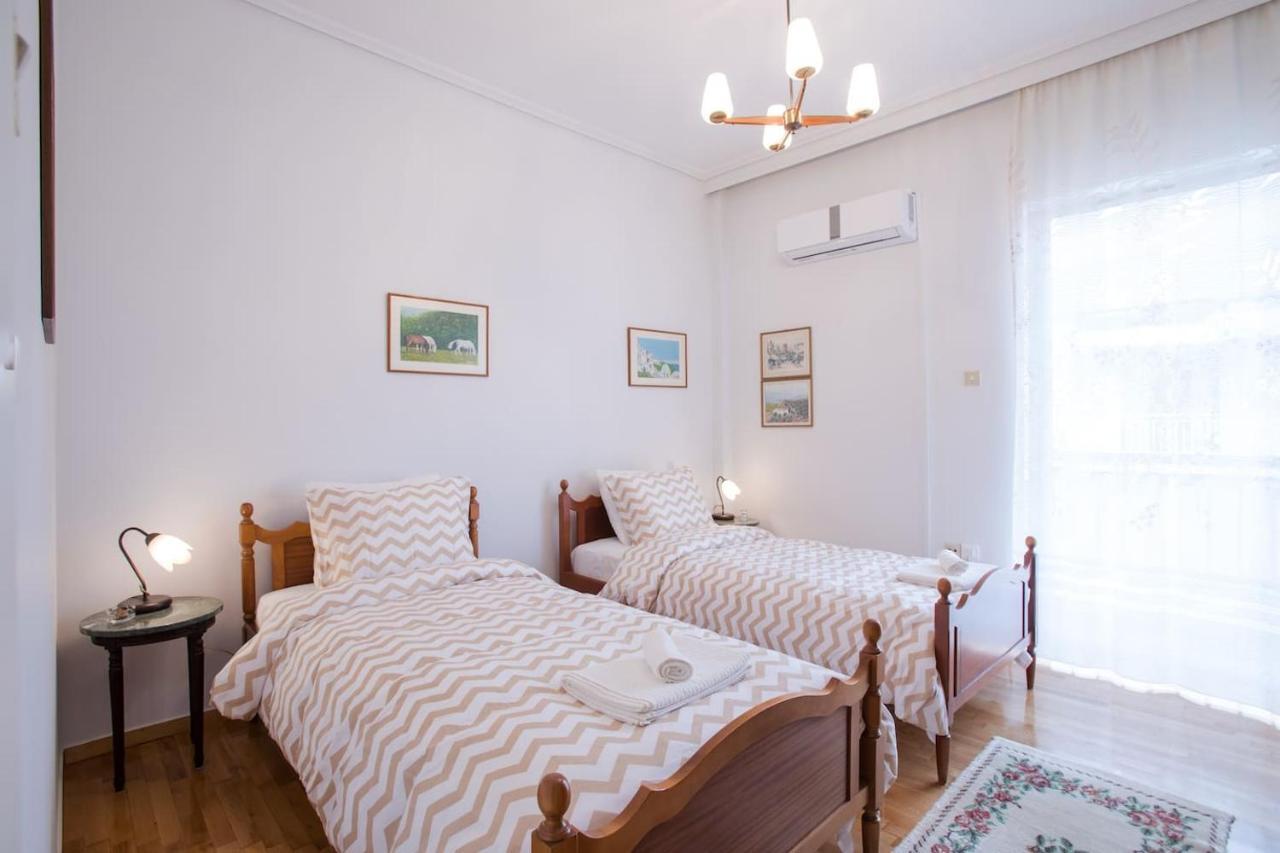 Elli'S Luxury, Large Apt In The Center Of Athens Appartamento Esterno foto